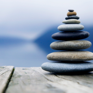 Guided Zen (2 месяца) Guided Zen (2 месяца)